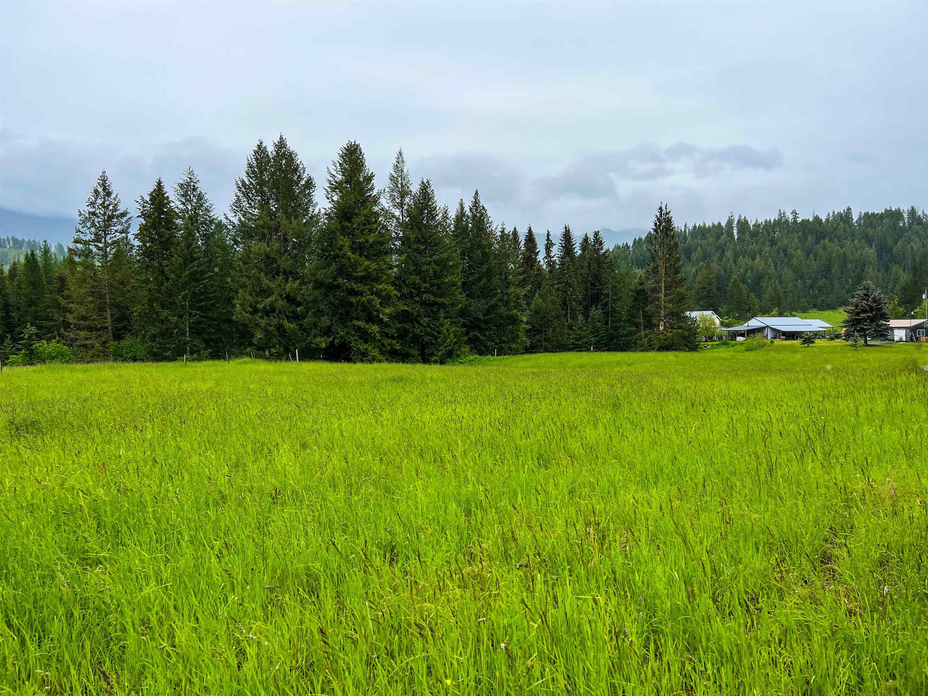 2435 Cedonia-Addy Road Addy, WA 99101 - Photo 37 of 50