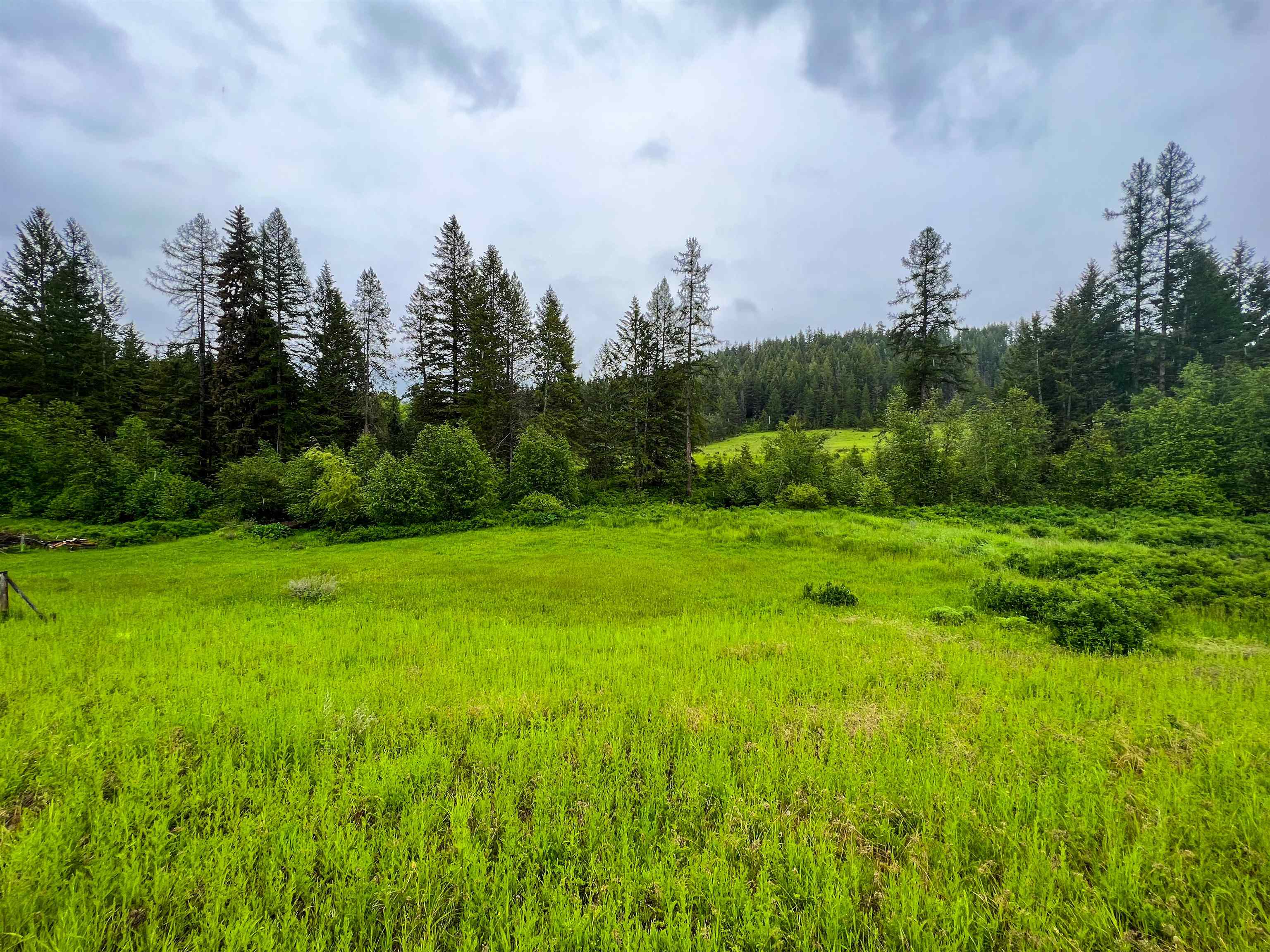 2435 Cedonia-Addy Road Addy, WA 99101 - Photo 38 of 50