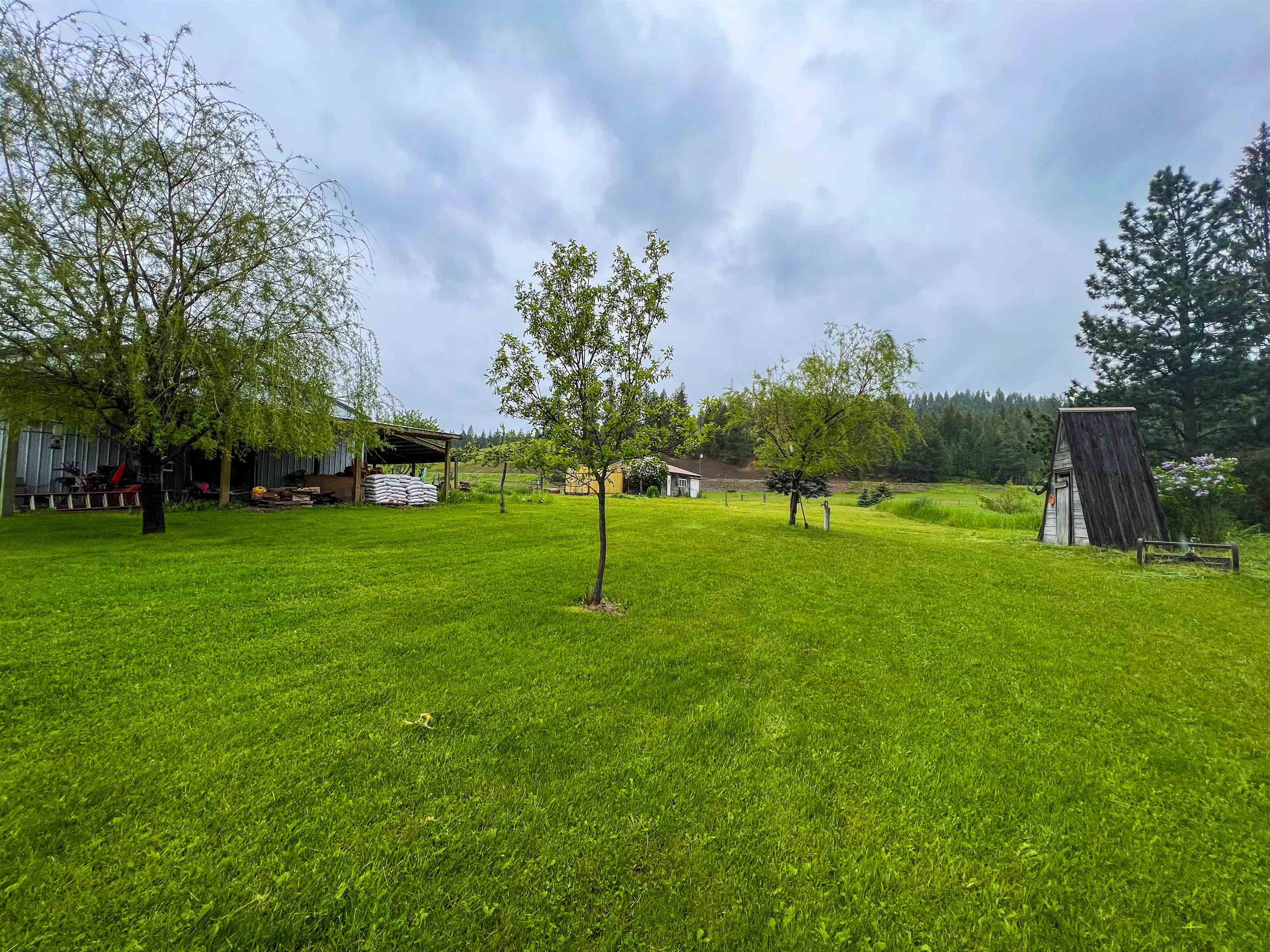 2435 Cedonia-Addy Road Addy, WA 99101 - Photo 49 of 50