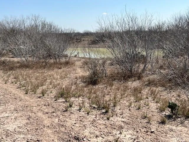 a view of a lake with houses in the back