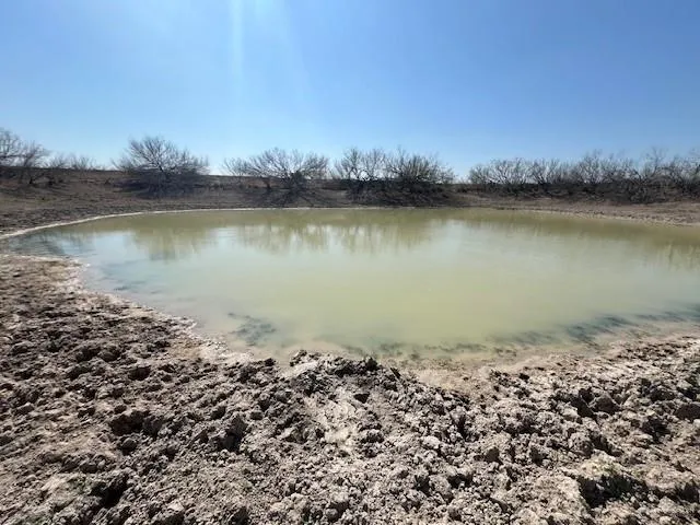 a view of a snow on the beach