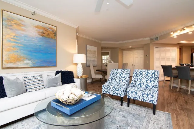 a living room with furniture and a potted plant