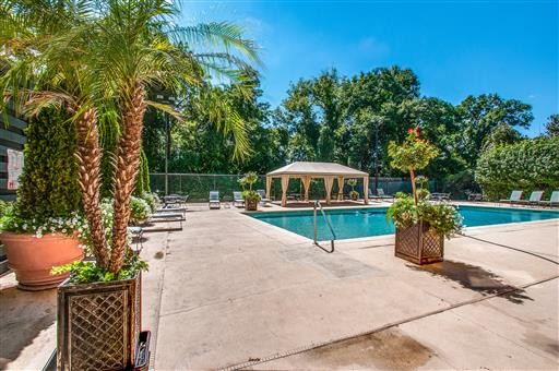 4215 Harding Pike, Unit 203 Nashville, TN 37205 - Photo 5 of 8 a small garden with tall trees