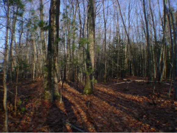 Bond Gilsum, NH 03448 - Photo 1 of 1 Gallery Image 1