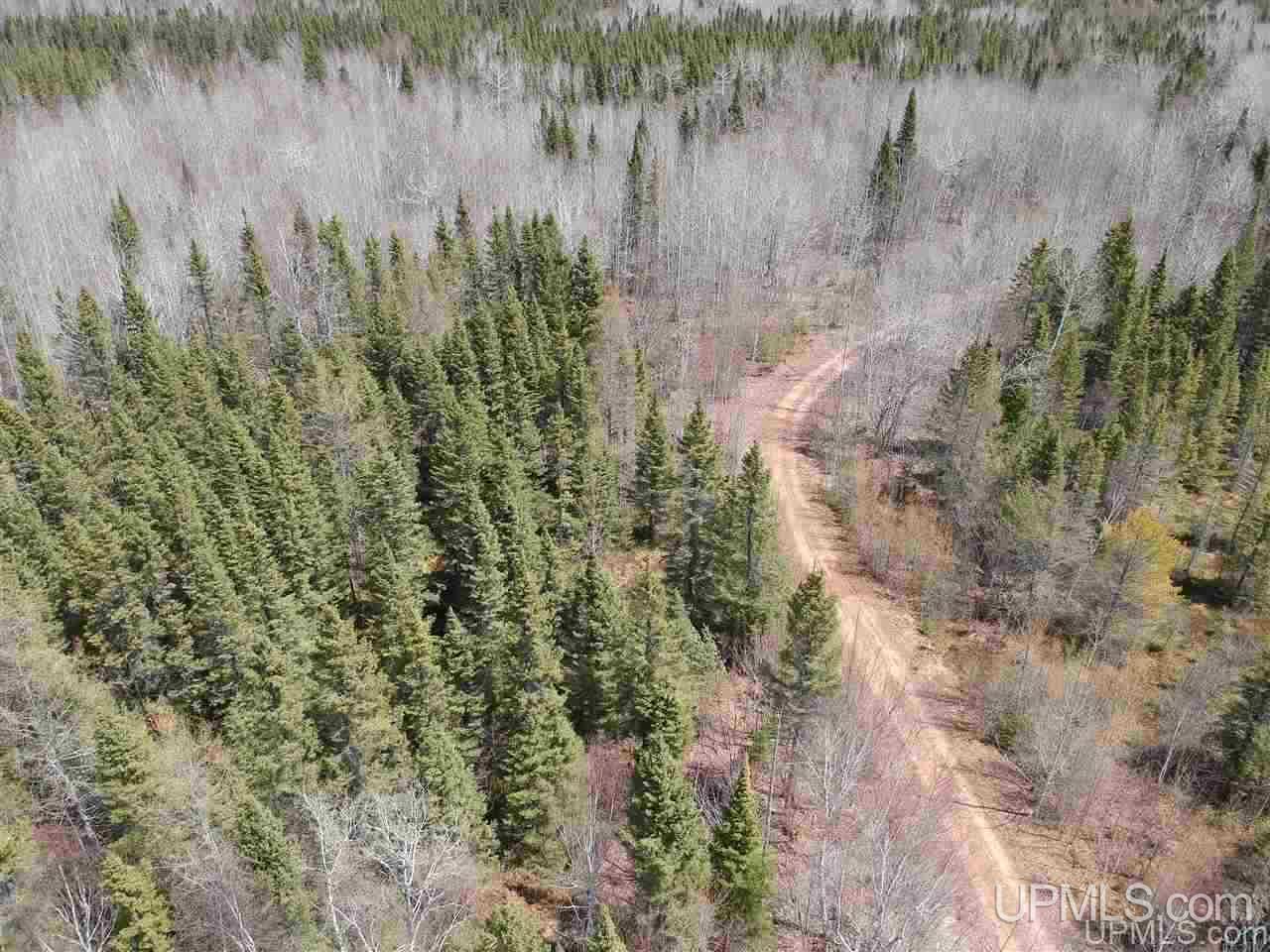 Tbd Mud Lake Road Lake Linden, MI 49945 - Photo 15 of 18