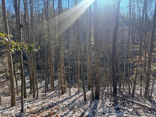 $350,000 | 0 Clear Branch Road, Erwin, TN 37650