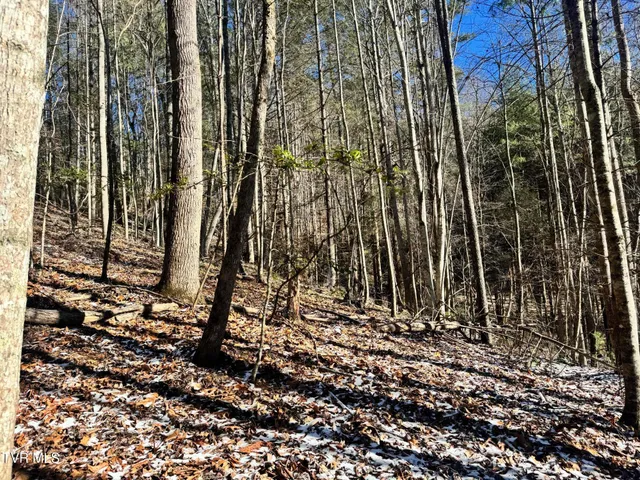 $350,000 | 0 Clear Branch Road, Erwin, TN 37650