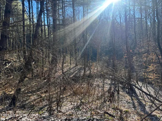 $350,000 | 0 Clear Branch Road, Erwin, TN 37650