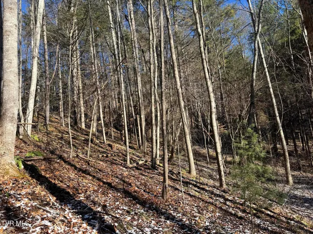 $350,000 | 0 Clear Branch Road, Erwin, TN 37650