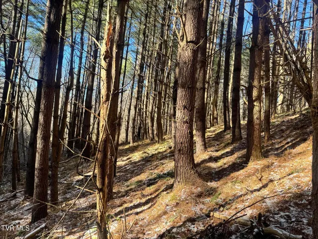 $350,000 | 0 Clear Branch Road, Erwin, TN 37650