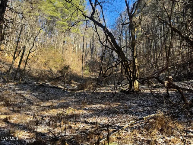 $350,000 | 0 Clear Branch Road, Erwin, TN 37650
