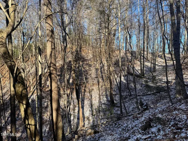 $350,000 | 0 Clear Branch Road, Erwin, TN 37650