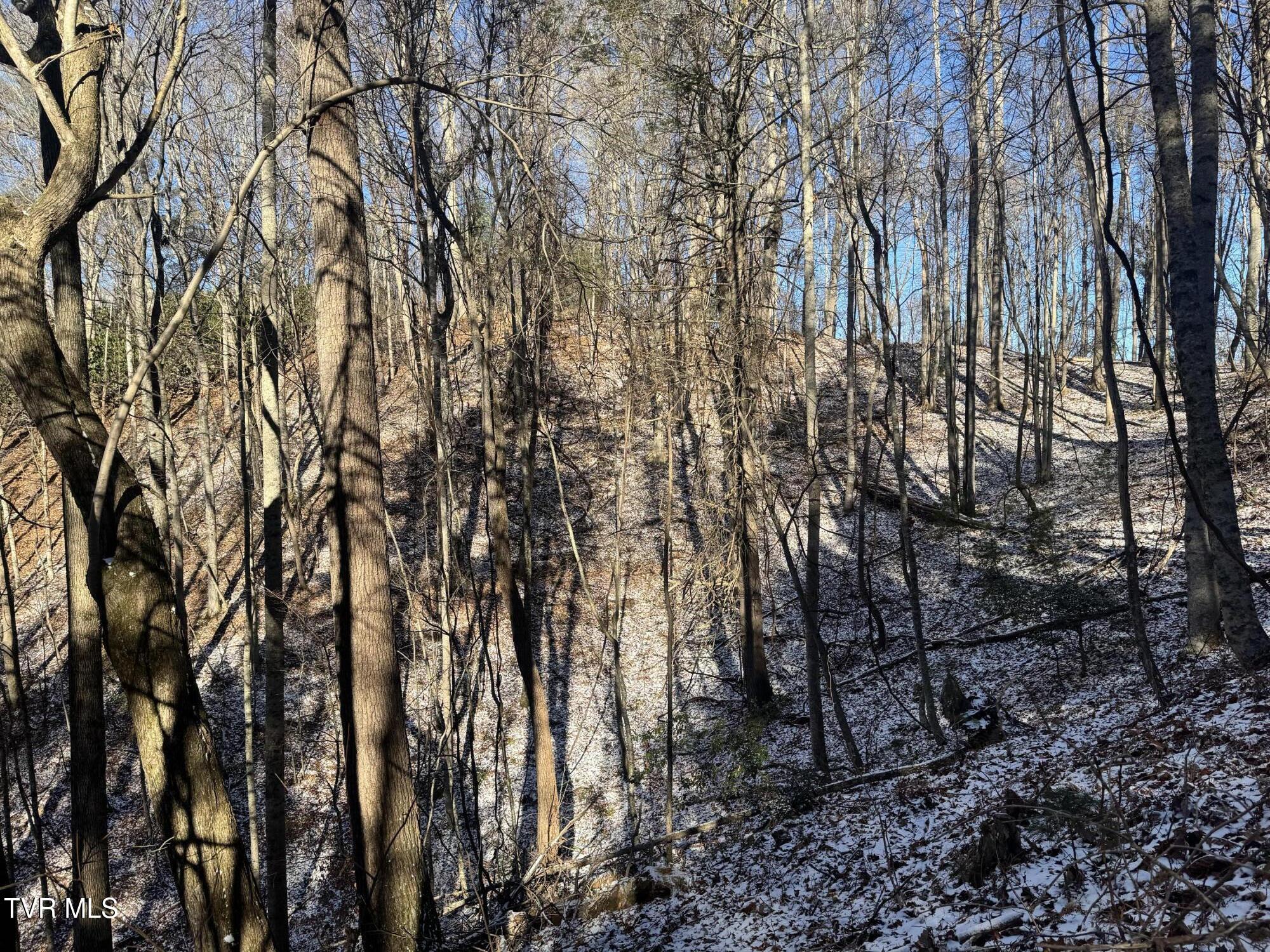 0 Clear Branch Road Erwin, TN 37650 - Photo 26 of 45 IMG_5058