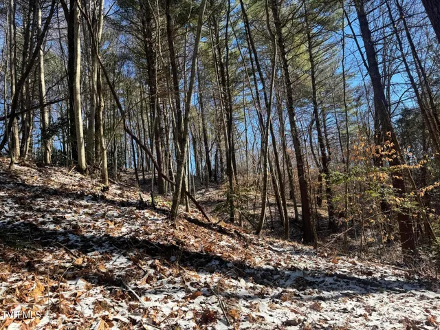 $350,000 | 0 Clear Branch Road, Erwin, TN 37650