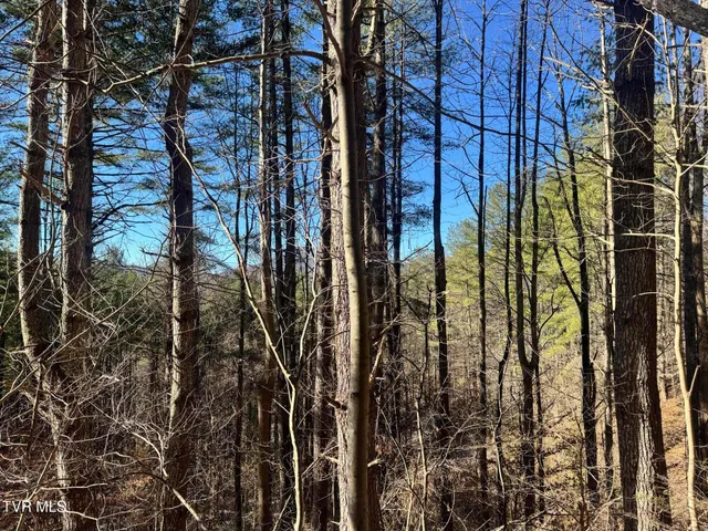 $350,000 | 0 Clear Branch Road, Erwin, TN 37650