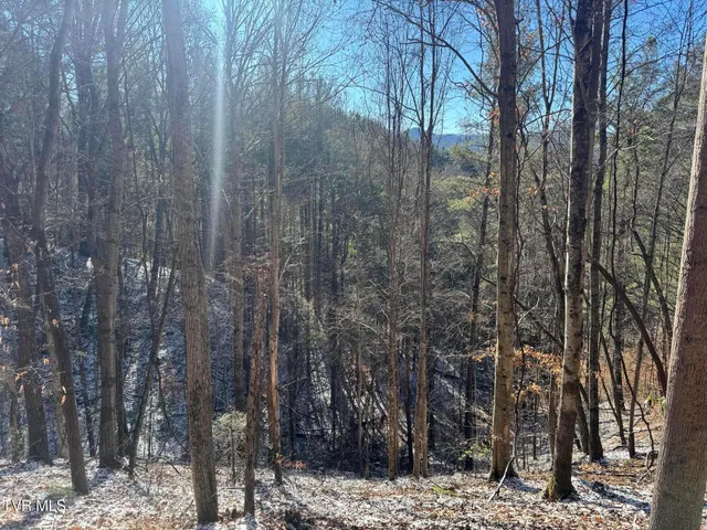 $350,000 | 0 Clear Branch Road, Erwin, TN 37650