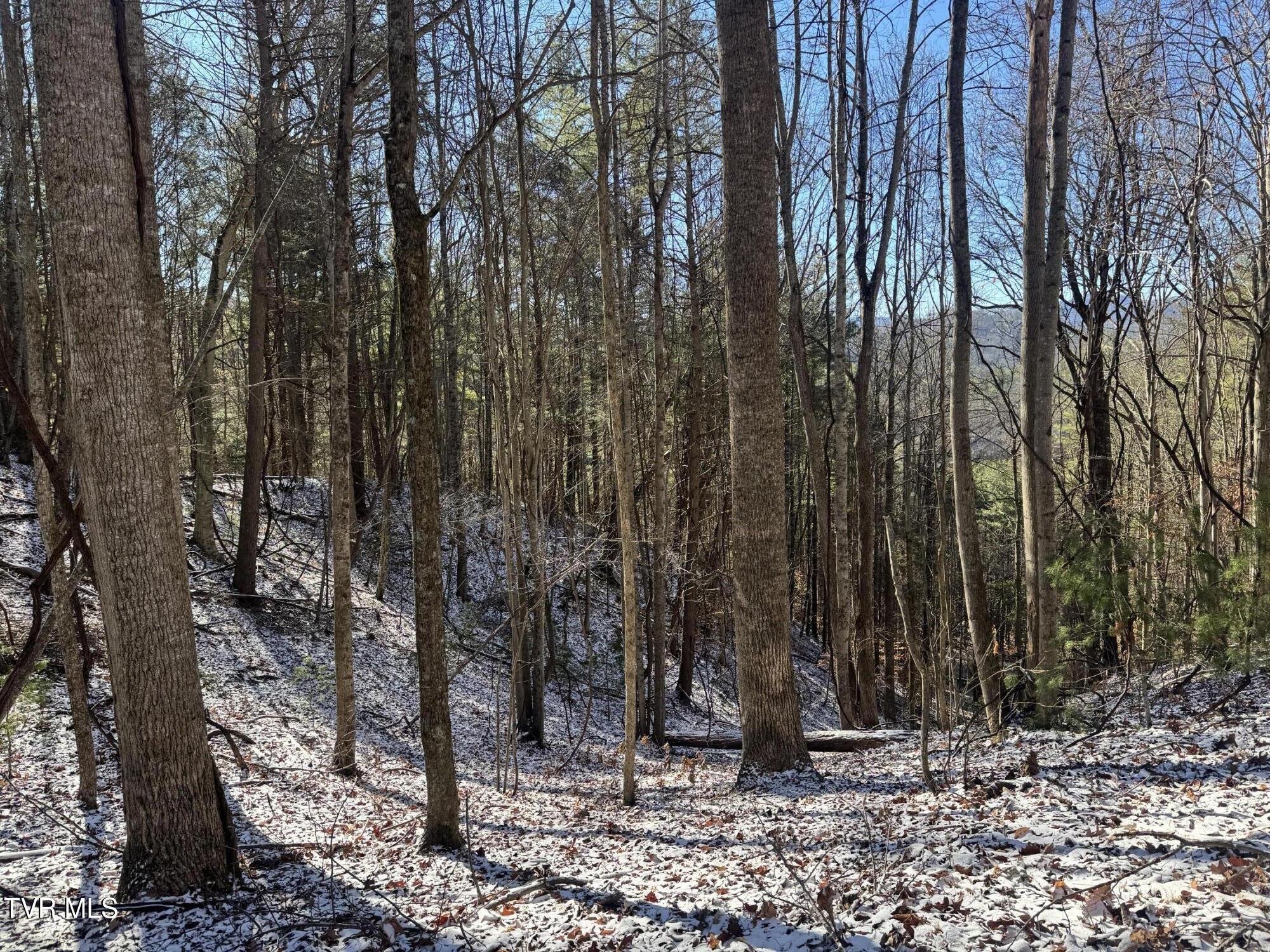 0 Clear Branch Road Erwin, TN 37650 - Photo 31 of 45 IMG_5063