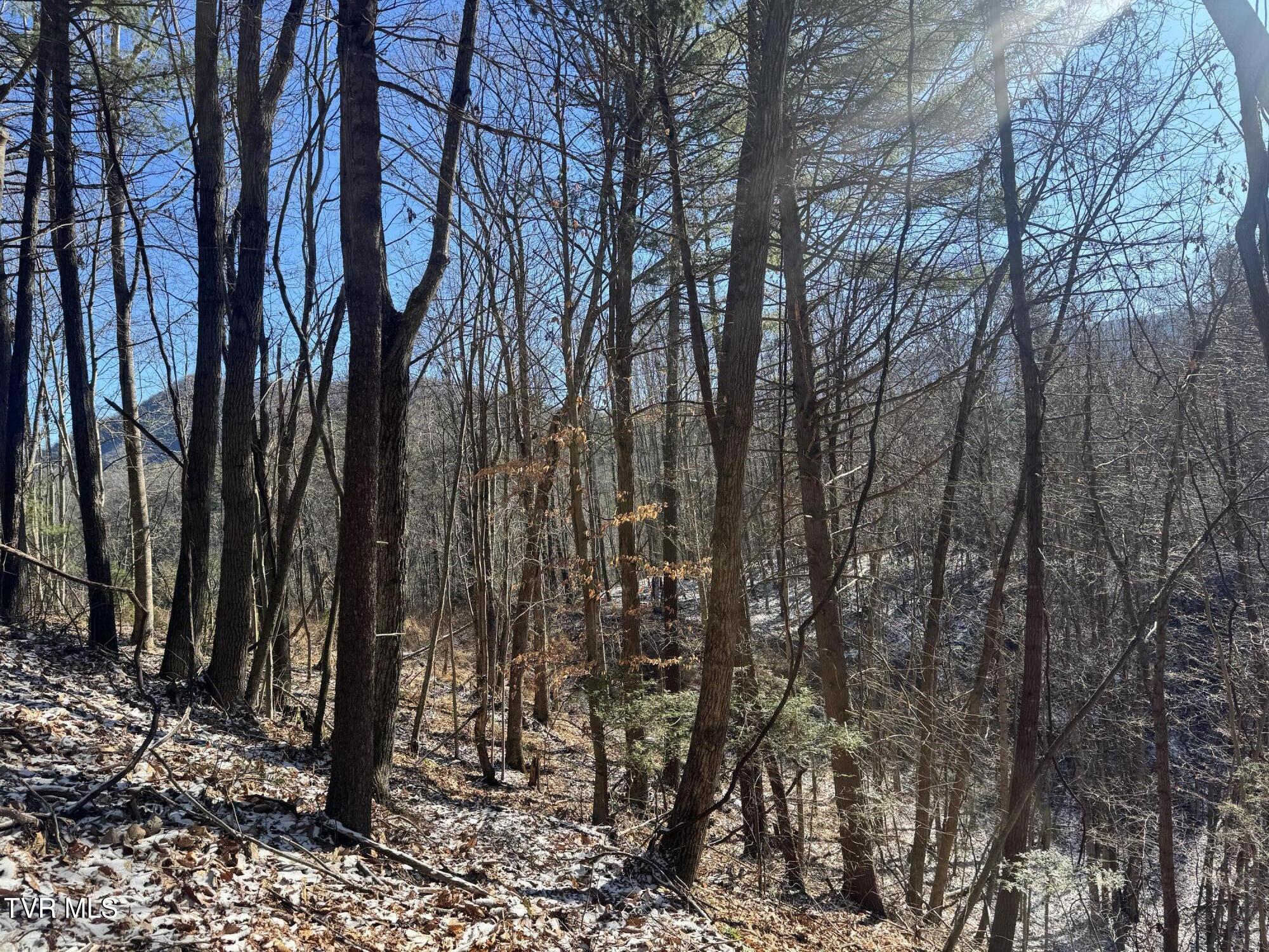 0 Clear Branch Road Erwin, TN 37650 - Photo 32 of 45 IMG_5061