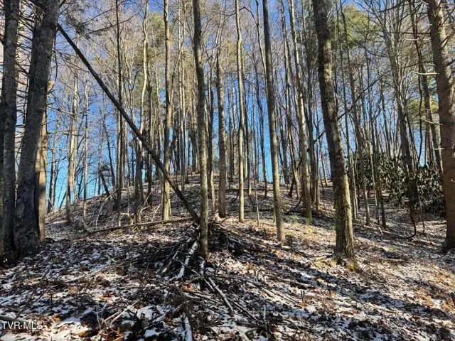 $350,000 | 0 Clear Branch Road, Erwin, TN 37650