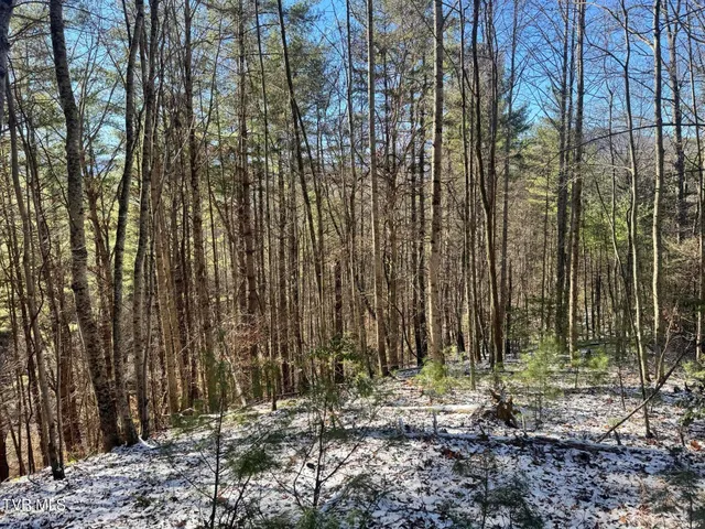 $350,000 | 0 Clear Branch Road, Erwin, TN 37650