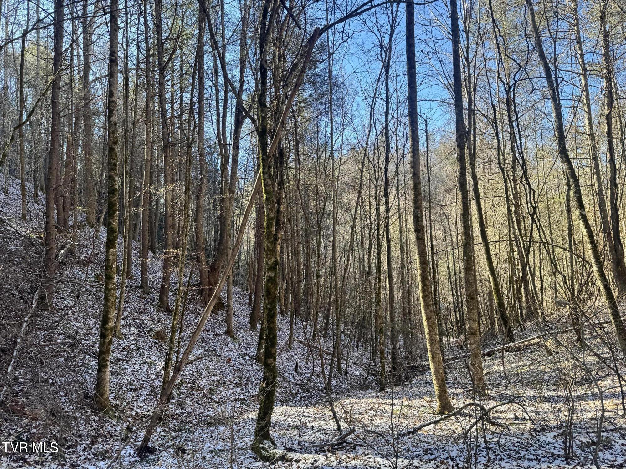 0 Clear Branch Road Erwin, TN 37650 - Photo 38 of 45 IMG_5073