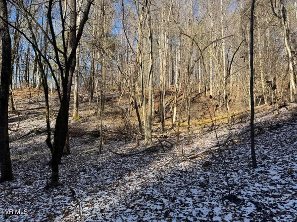 $350,000 | 0 Clear Branch Road, Erwin, TN 37650