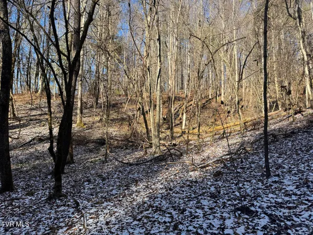 $350,000 | 0 Clear Branch Road, Erwin, TN 37650