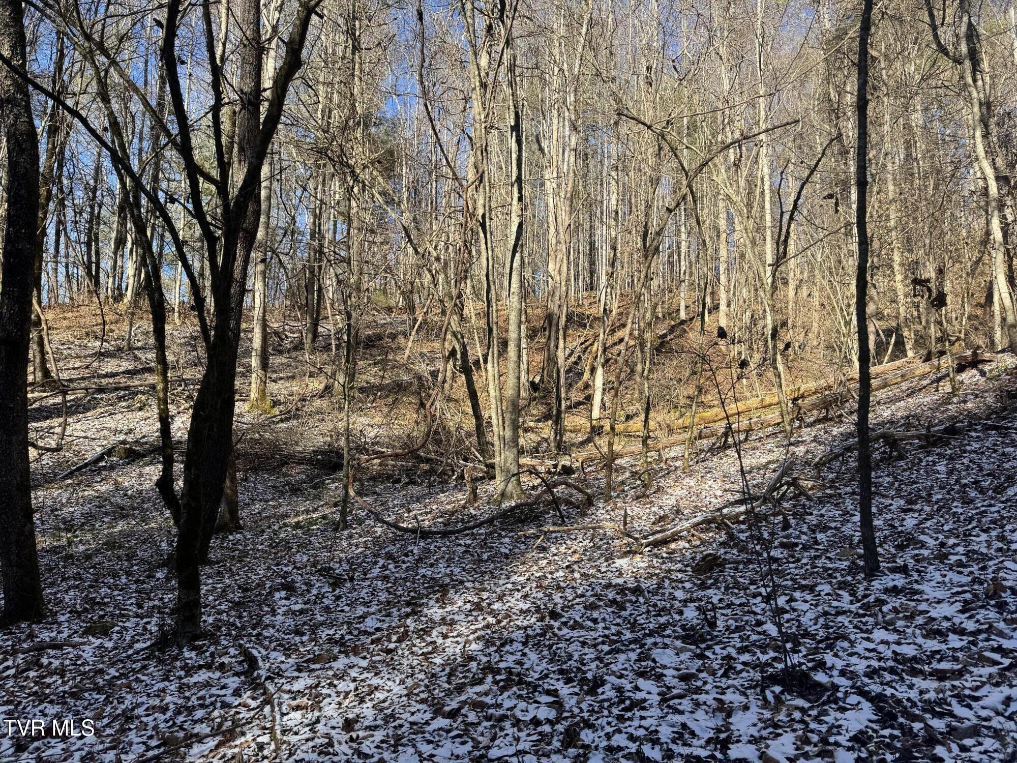 0 Clear Branch Road Erwin, TN 37650 - Photo 39 of 45 IMG_5072