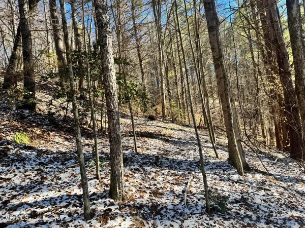 $350,000 | 0 Clear Branch Road, Erwin, TN 37650