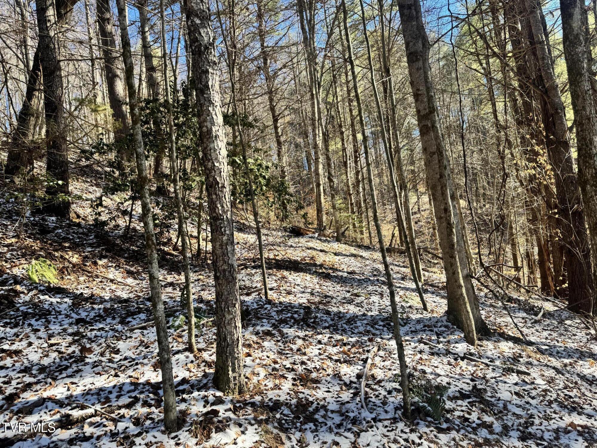 0 Clear Branch Road Erwin, TN 37650 - Photo 41 of 45 IMG_5070