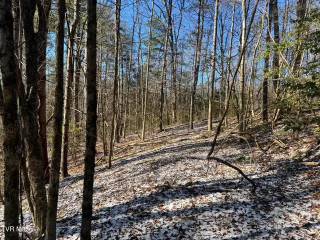 $350,000 | 0 Clear Branch Road, Erwin, TN 37650