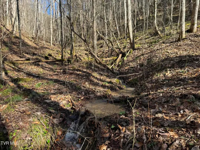 $350,000 | 0 Clear Branch Road, Erwin, TN 37650