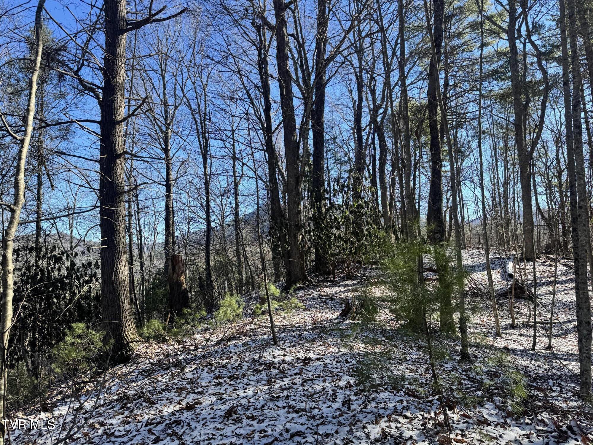 0 Clear Branch Road Erwin, TN 37650 - Photo 5 of 45 IMG_5062