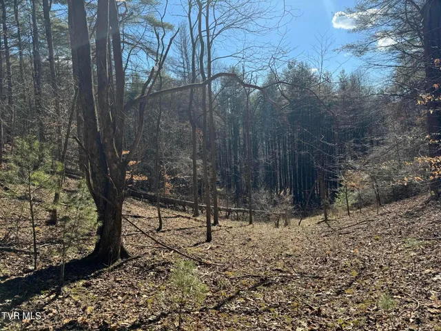 $350,000 | 0 Clear Branch Road, Erwin, TN 37650