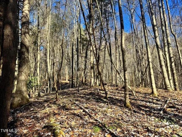 $350,000 | 0 Clear Branch Road, Erwin, TN 37650