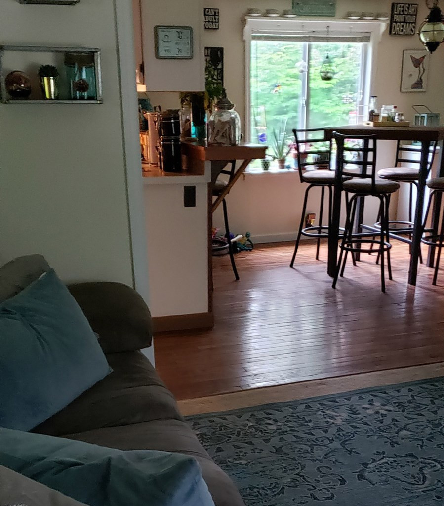 70 River Road Bloomingdale, NY 12913 - Photo 3 of 7 Gallery Image 3