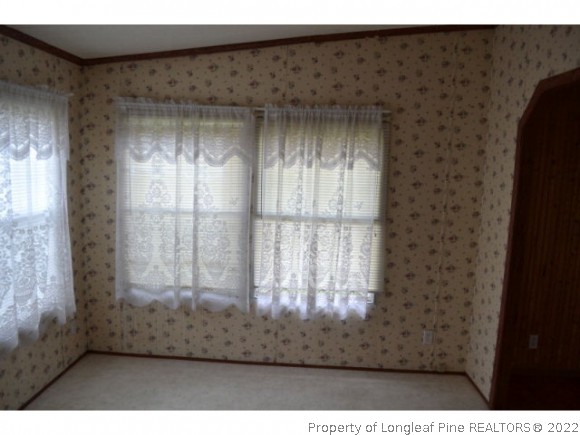 680 Black Road Cameron, NC 28326 - Photo 7 of 10 Gallery Image 7