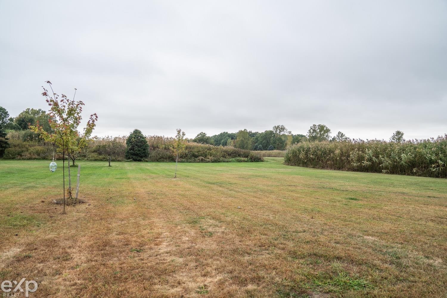 7084 Marsh Road Marine City, MI 48039 - Photo 31 of 45 50191165-f6c1c1d5-438e-4fff-a1c8-0cf181b2e982.JPG