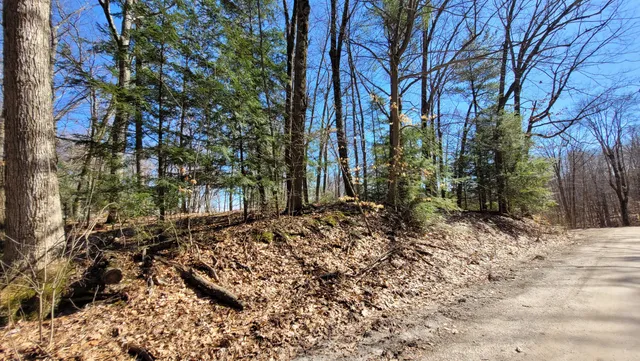 $24,900 | 947 West Locust Street, White Cloud, MI 49349