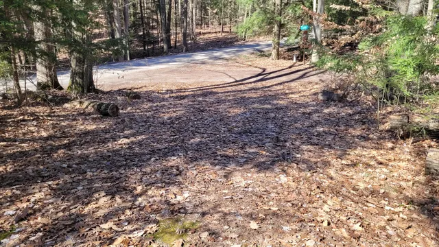 $24,900 | 947 West Locust Street, White Cloud, MI 49349