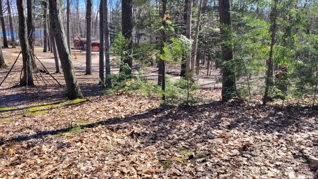 $24,900 | 947 West Locust Street, White Cloud, MI 49349