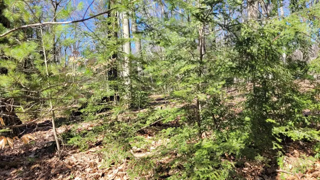 $24,900 | 947 West Locust Street, White Cloud, MI 49349