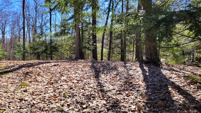 $24,900 | 947 West Locust Street, White Cloud, MI 49349