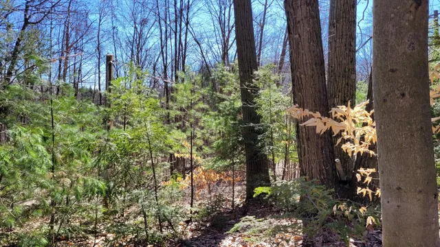 $24,900 | 947 West Locust Street, White Cloud, MI 49349