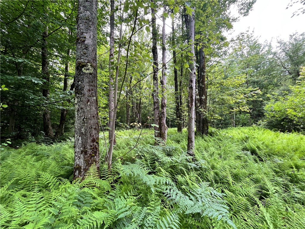 117 Albion Cross Road Parish, NY 13131 - Photo 18 of 34 Gallery Image 18