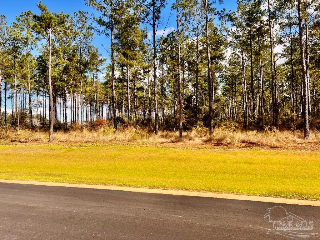 Lot 17 Denali Road Jay, FL 32565 - Photo 11 of 32 a view of beach and swimming pool