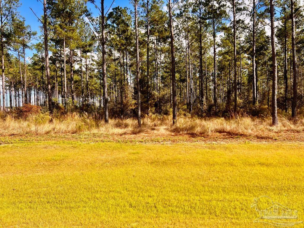 Lot 17 Denali Road Jay, FL 32565 - Photo 12 of 32 a view of yard with swimming pool and trees