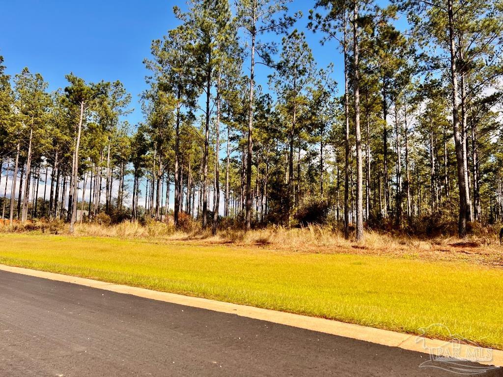 Lot 17 Denali Road Jay, FL 32565 - Photo 13 of 32 a view of a swimming pool with an outdoor space and seating area