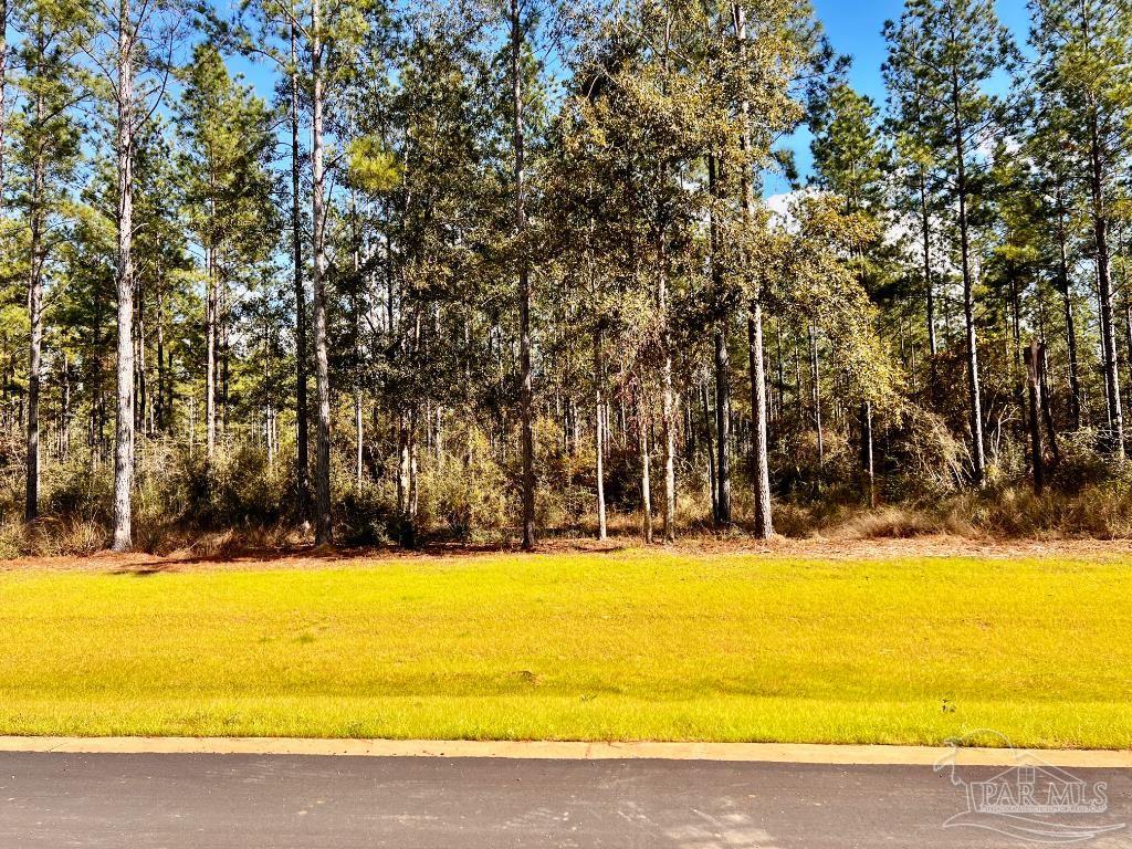 Lot 17 Denali Road Jay, FL 32565 - Photo 14 of 32 a view of a swimming pool with an outdoor space and seating area