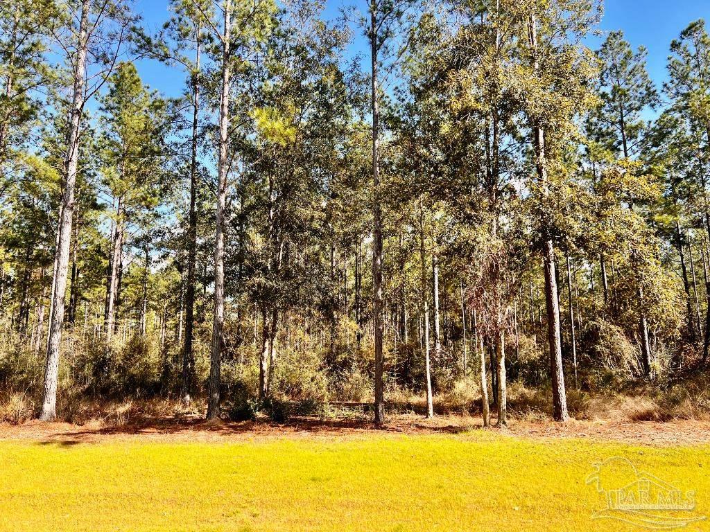 Lot 17 Denali Road Jay, FL 32565 - Photo 15 of 32 a view of swimming pool with an outdoor space